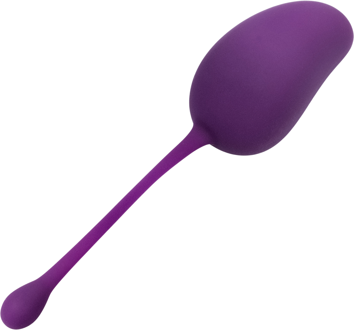 Lady Dreams Tréninková gulička Gym Ball fialova