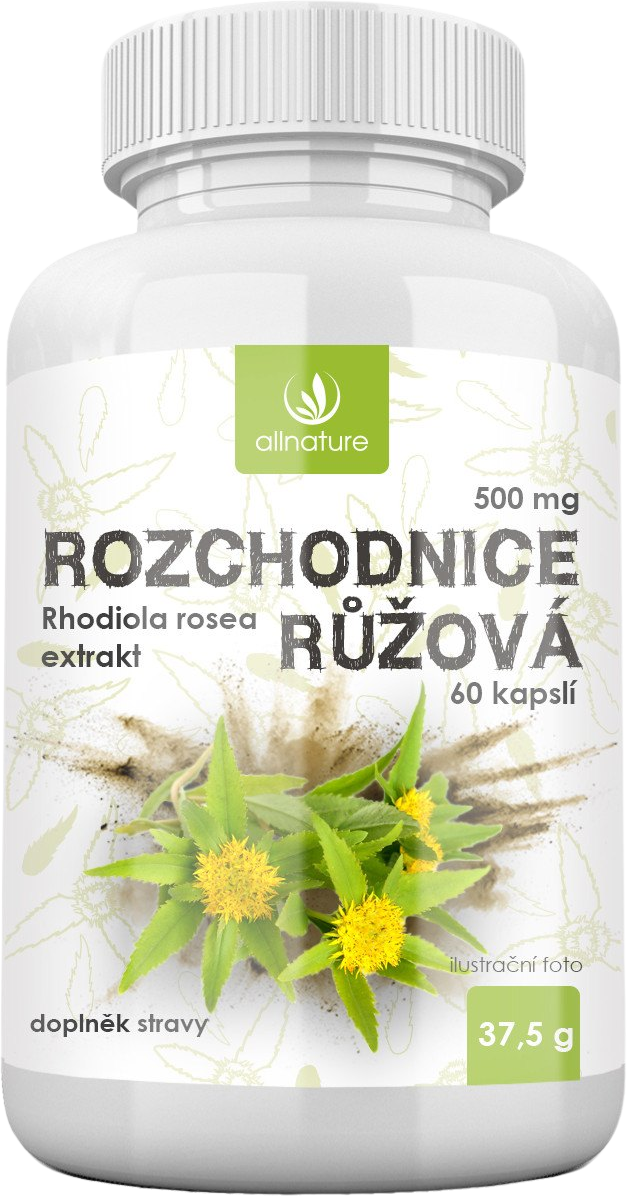 Allnature Rozchodnice růžová 500 mg 60 kapsúl