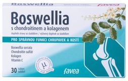 Favea Boswellia s chondroitinem a kolagenem 30 tabliet