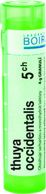 Boiron Thuya Occidentalis CH5 granule 4 g
