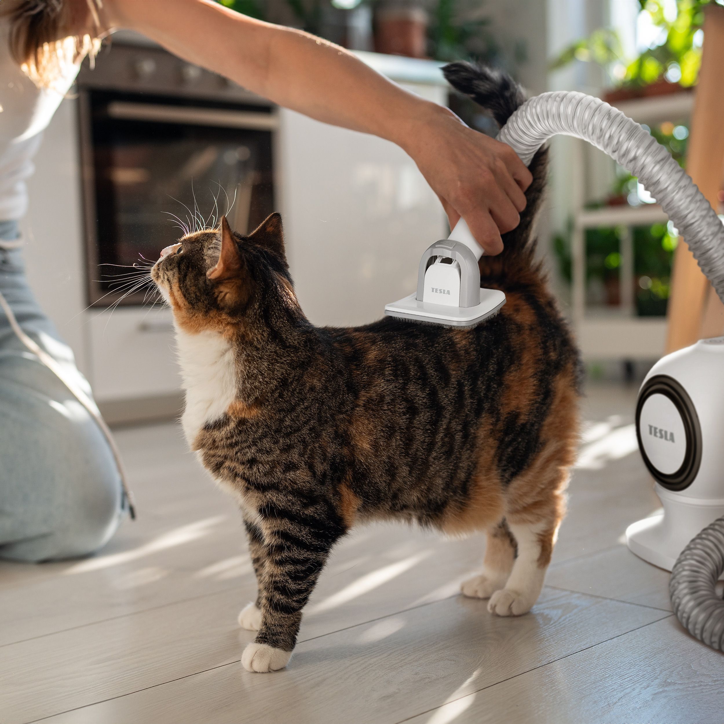 Tesla PetCare Station TQ500 Pro - sada na starostlivosť o srsť domácich miláčikov