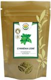 Salvia Paradise Gymnéma lesná list mletý 100 g