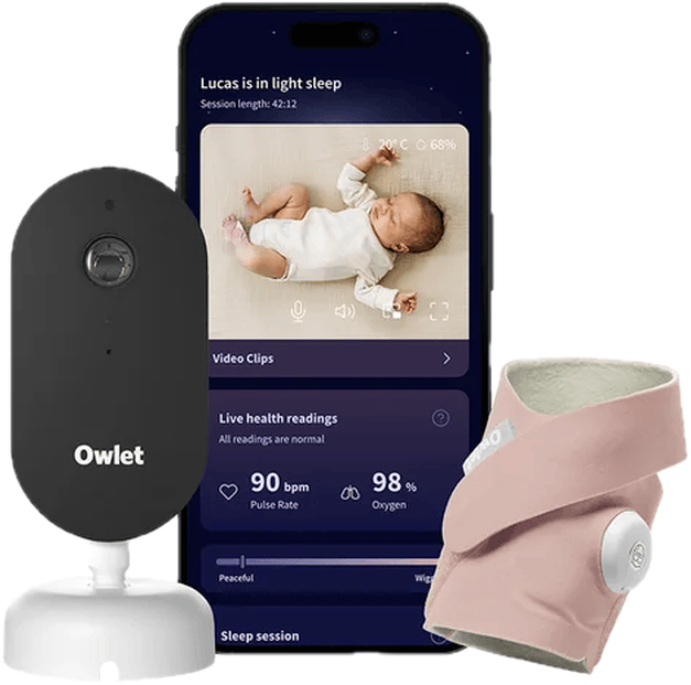 Owlet Dream Duo Dusty Rose