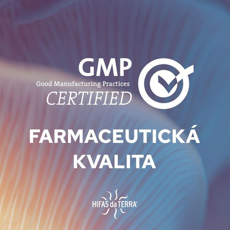 Hifas da Terra Dr. Gut and Brain for Children (Reishi a Hericium pre deti) 250 ml