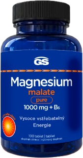 GS Horčík malát 1000 mg + B6 100 tabliet
