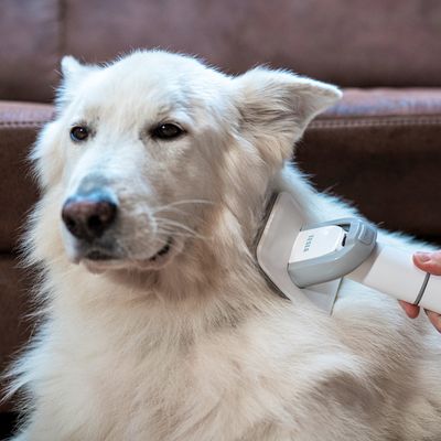 Tesla PetCare Station TQ500 Pro - sada na starostlivosť o srsť domácich miláčikov