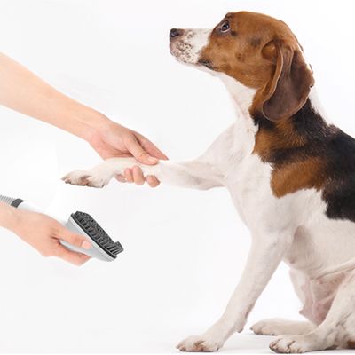Tesla PetCare Station TQ500 Pro - sada na starostlivosť o srsť domácich miláčikov