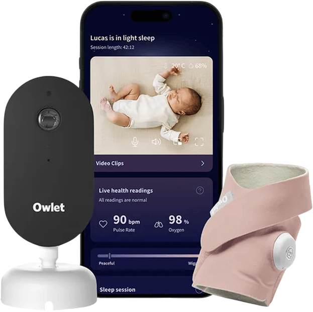 Owlet Dream Duo Dusty Rose