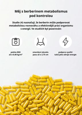 Venira Berberín 60 x 500 mg
