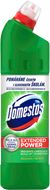 Domestos 24h Plus Pine Fresh 750 ml