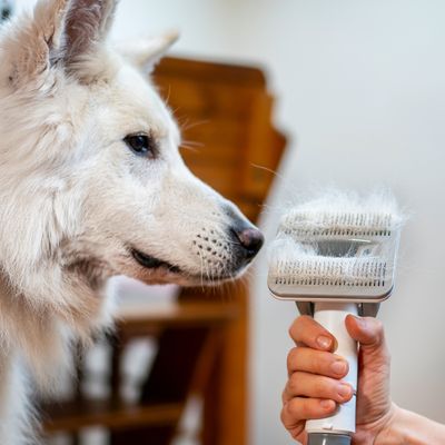 Tesla PetCare Station TQ500 Pro - sada na starostlivosť o srsť domácich miláčikov