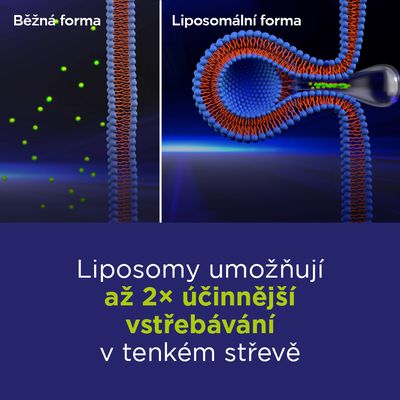 GS Lipo Ginkgo pamäť+ 105 kapsúl