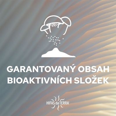 Hifas da Terra Dr. Gut and Brain for Children (Reishi a Hericium pre deti) 250 ml