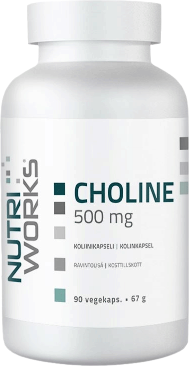 NutriWorks Choline 500mg 90 kapsúl