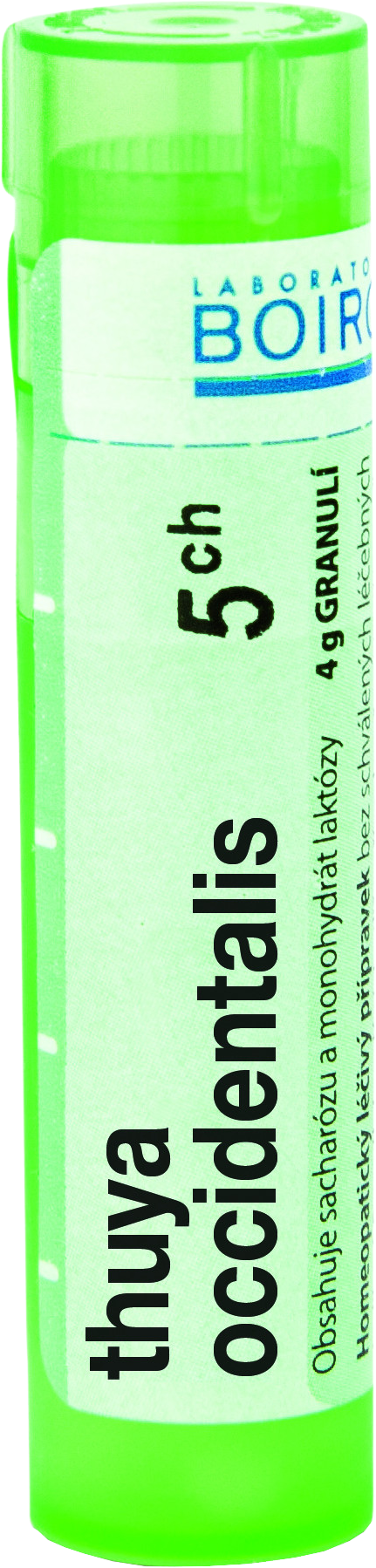 Boiron Thuya Occidentalis CH5 granule 4 g