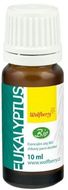 Wolfberry Esenciálny olej Eukalyptus BIO 10 ml