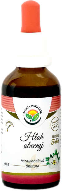 Salvia Paradise Hloh obyčajný AF tinktúra 50 ml