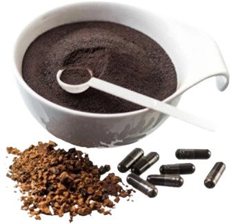 Chaganela FytoDETOX Chaga + Chlorella + Spirulina 150 kapsúl