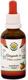 Salvia Paradise Ašvaganda - vitánia AF tinktúra BIO 50 ml