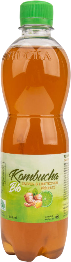 Kombucha Stevikom zázvor s limetkovou príchuťou BIO 500 ml