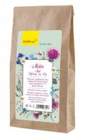 Wolfberry Mätový bylinný čaj 50 g