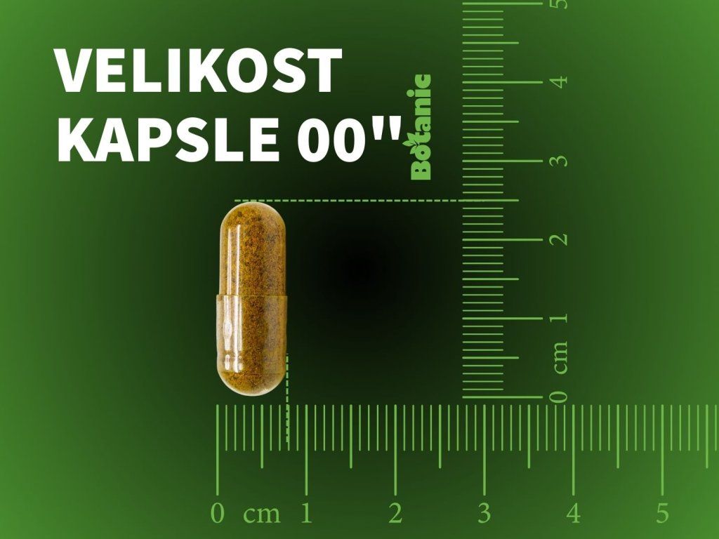 Botanic Ashwagandha KSM—66®, 60 kapsúl