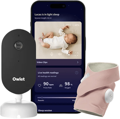 Owlet Dream Duo Dusty Rose