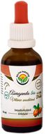 Salvia Paradise Ašvaganda - vitánia AF tinktúra BIO 50 ml