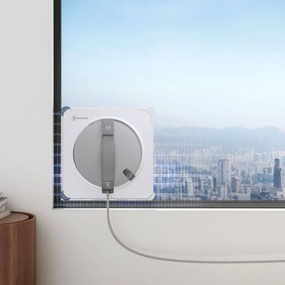 Ecovacs Winbot W2S