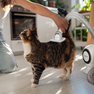 Tesla PetCare Station TQ500 Pro - sada na starostlivosť o srsť domácich miláčikov