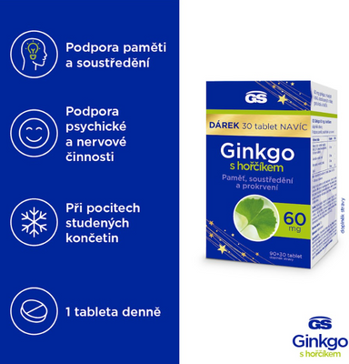 GS Ginkgo 60 mg s horčíkom 120