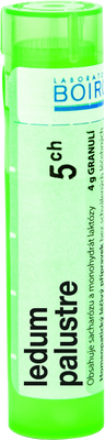 Boiron Ledum Palustre CH5 granule 4 g