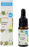 Kvitok Pleťové sérum - Kolagén (rastlinný) 10 ml
