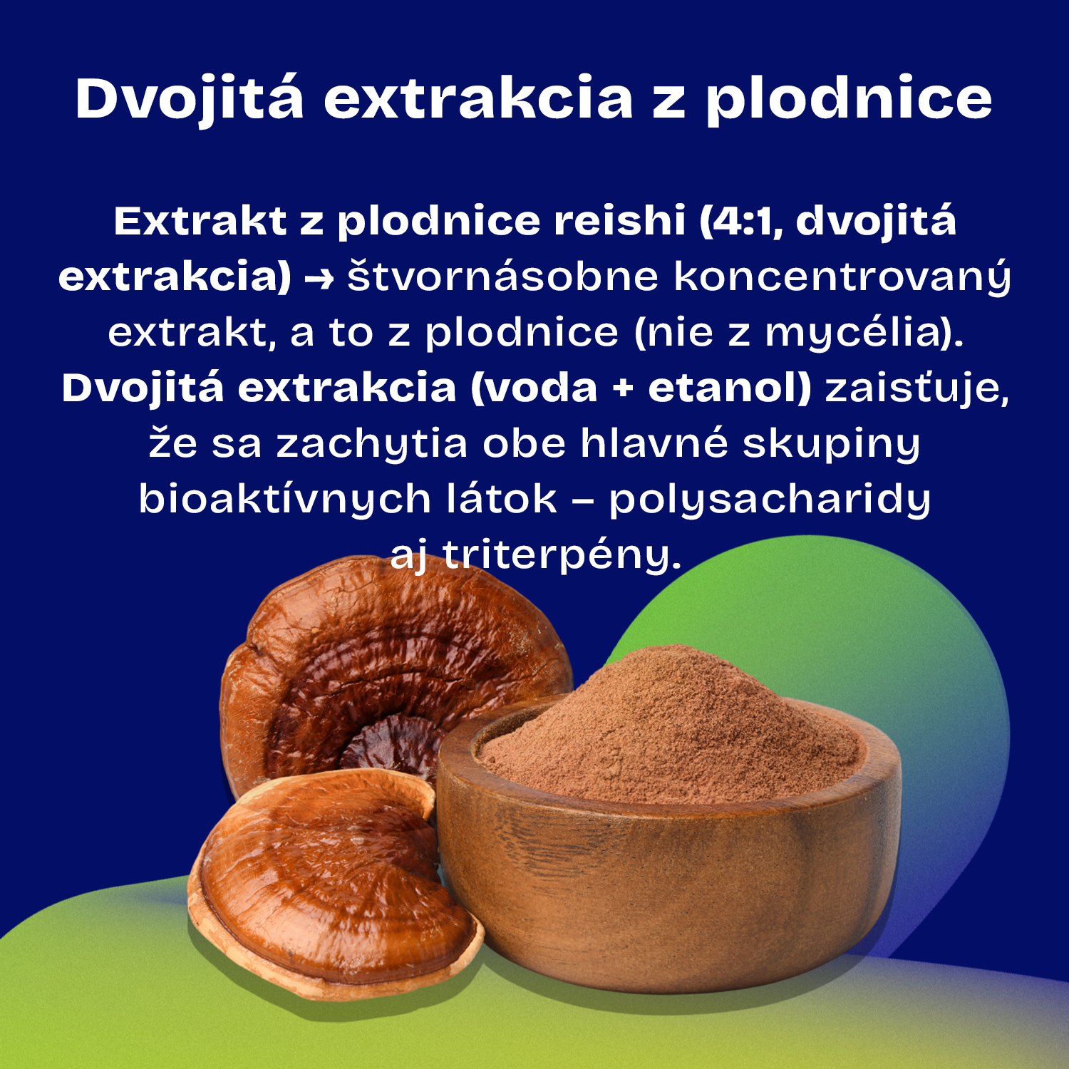 Daily Pure Reishi 90 kapslí