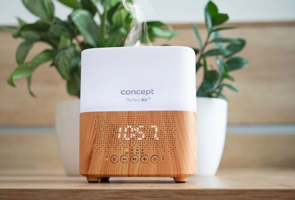 Concept Aroma difuzér Perfect air light wood