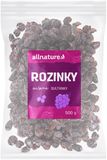 Allnature Hrozienka 500 g