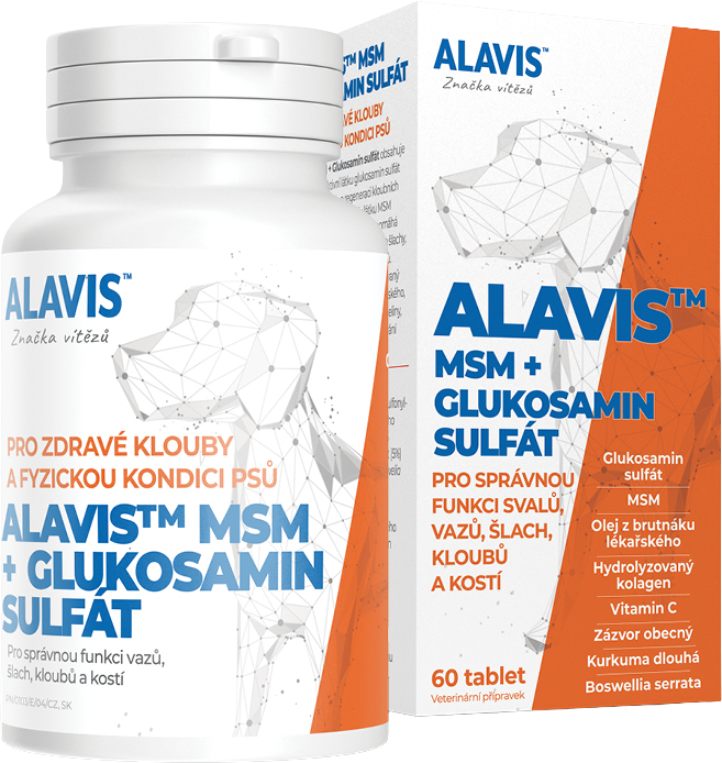 Alavis MSM + GLUKOZAMÍN SULFÁT 60 tabliet