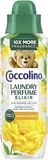 Coccolino Summer Bouquet, Parfém na pranie 460 ml