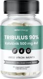 MOVit Energy TRIBULUS 90% Kotvičník 500 mg 4v1, 60 kapsúl