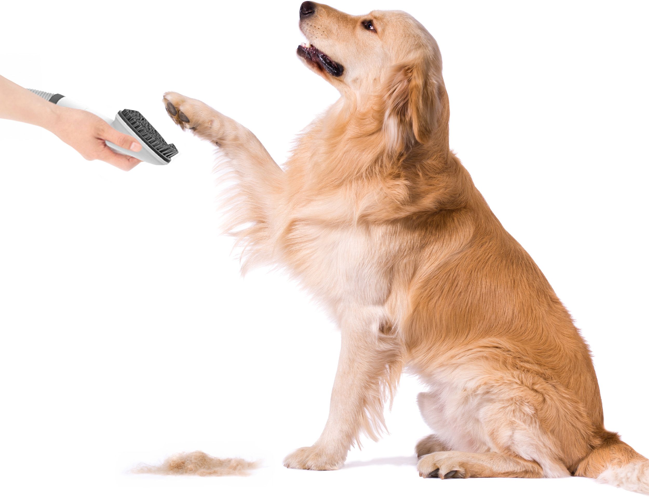 Tesla PetCare Station TQ500 Pro - sada na starostlivosť o srsť domácich miláčikov