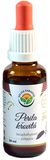 Salvia Paradise Perila krovitá AF tinktúra 50 ml