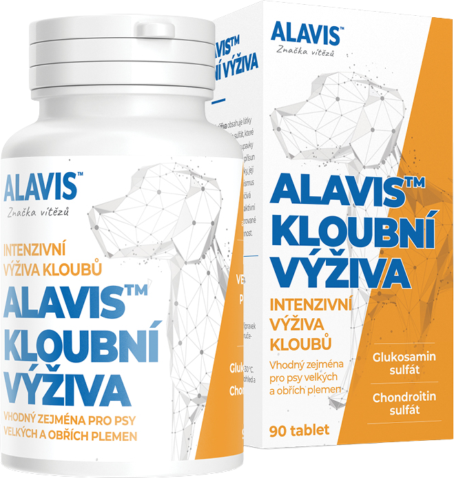 Alavis KĹBOVÁ VÝŽIVA pre psy 90 tabliet