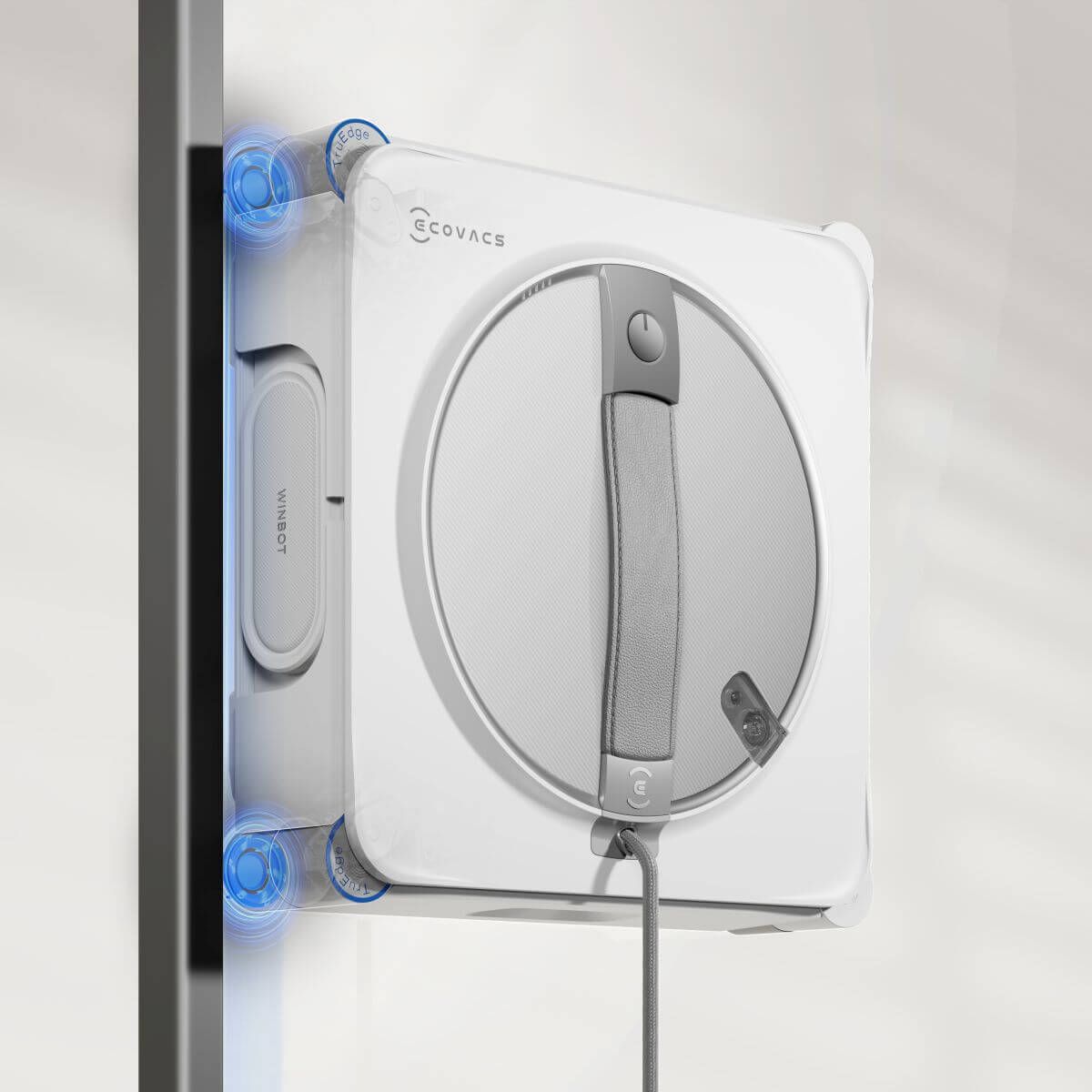 Ecovacs Winbot W2S