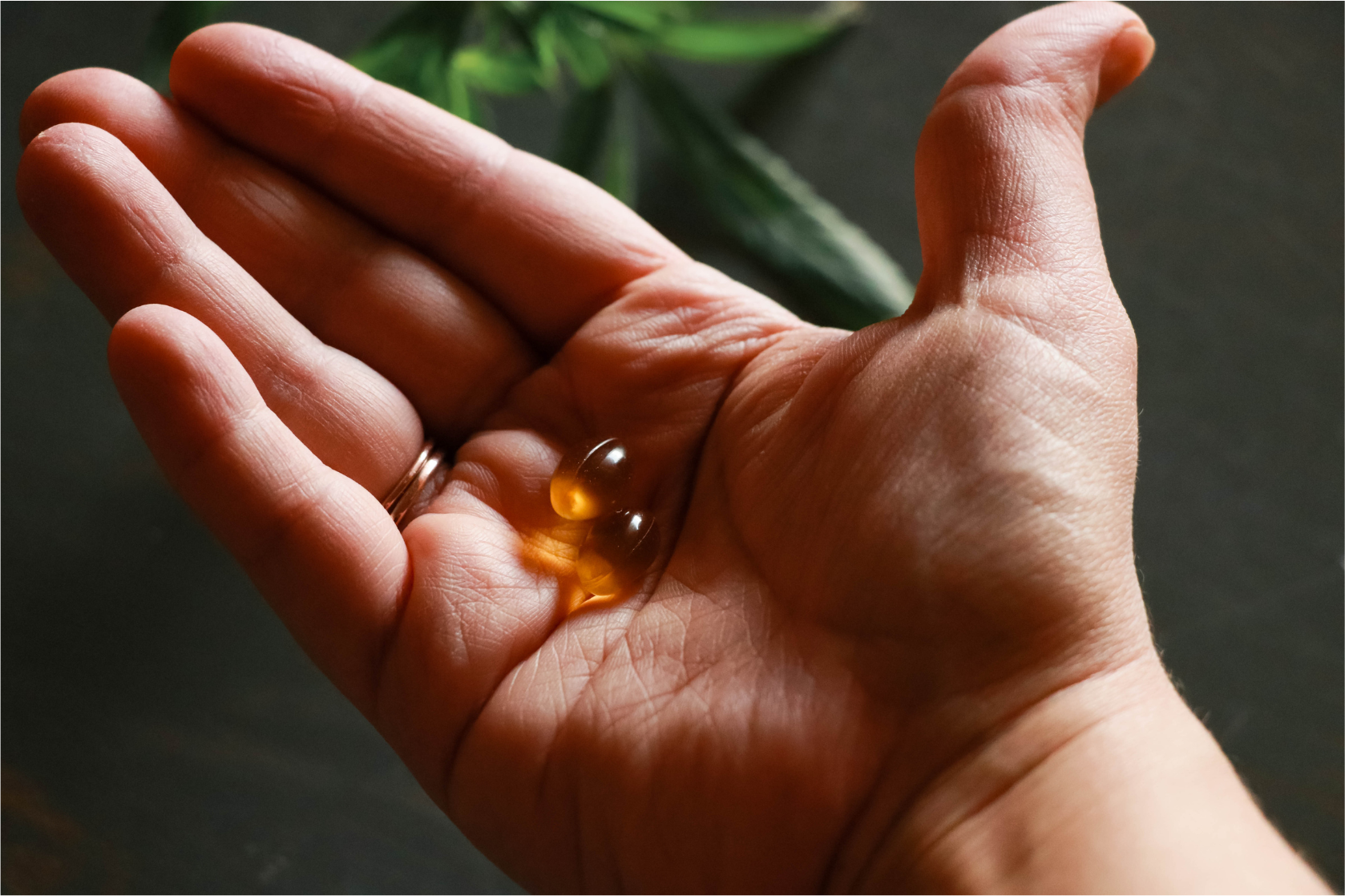 Eric Favre OMEGA 3 120 kapsúl