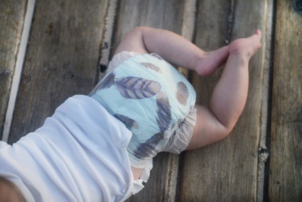 Kolorky DAY Perie veľ. L (8-13 kg) 19 ks