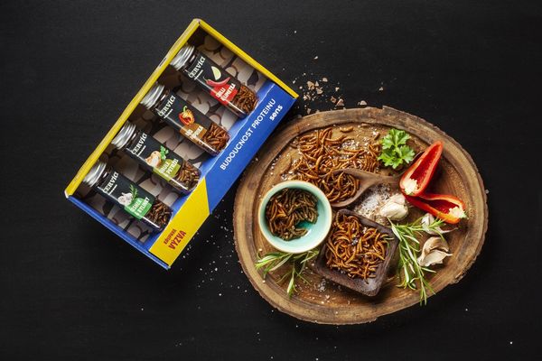 Sens Korenie červíčky - Darčeková sada 4 chutí 4 x 15 g