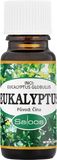 Saloos Eukalyptus - Čína 10 ml