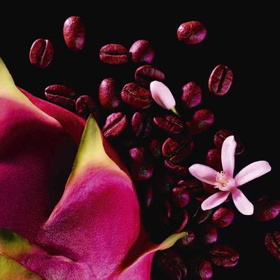 Yves Saint Laurent Parfumovaná voda Black Opium Neon 75 ml