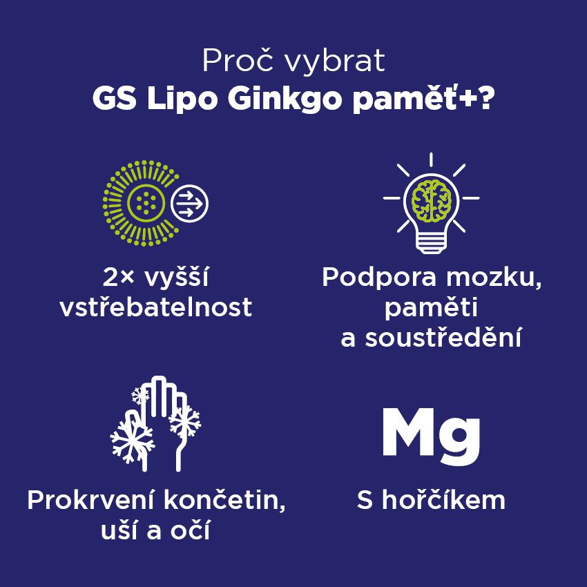 GS Lipo Ginkgo pamäť+ 105 kapsúl