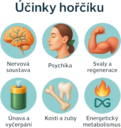 Botanic Horčík - Bisglycinát 90 kapsúl